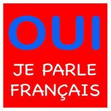 LEZIONI DI FRANCESE DA MADRELINGUA FRANCOFONA A MILANO - Foto 2