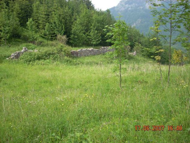 fondo bosco ex malga - Foto 7