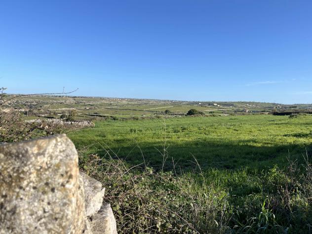Agricolo in Contrada Renna - Foto 6