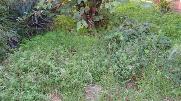 Villa in vendita a Cascina 300 mq Rif: 1292420 - Foto 6