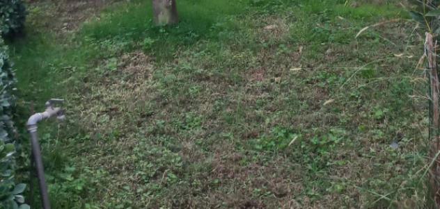 Immobile in asta di 384 m² con più di 5 locali in vendita a Viareggio - Foto 6