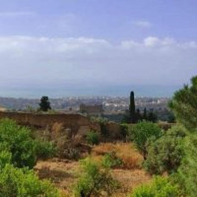 Panoramica dei Templi B&B - Foto 3