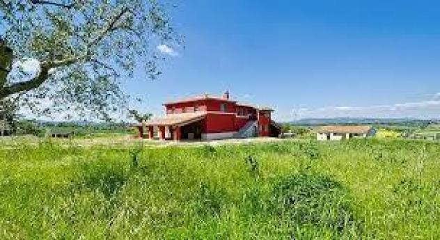 Agriturismo in affitto a Vecchiano 400 mq Rif: 1428276
