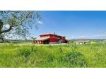 Agriturismo in affitto a Vecchiano 400 mq  Rif: 1428276
