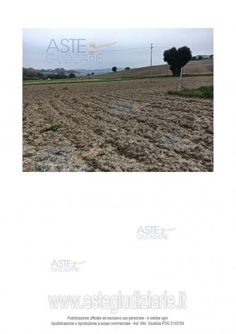 IMMOBILI-ALTRA CATEGORIA-Via Santa Maria Apparve, 60010 Ostra AN, Italia - Foto 6