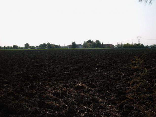 Area verde in vendita a Rimini