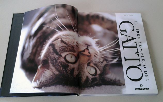 Il libro completo del gatto - Foto 2
