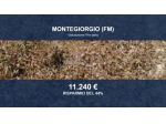 Immobile in asta di 33547 m² in vendita a Montegiorgio