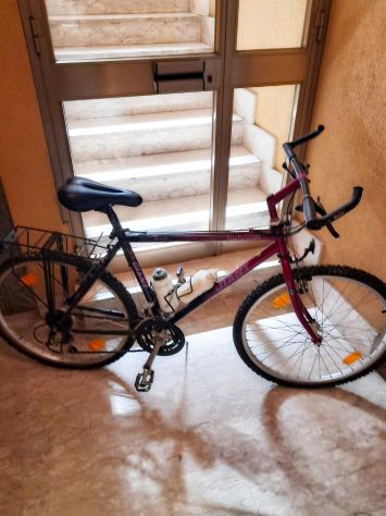 Mountain bike Giant Terrago