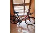 Mountain bike Giant Terrago