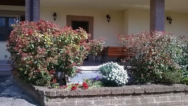 Villa in vendita a Campli - Foto 4