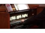 Organista  a Vercelli