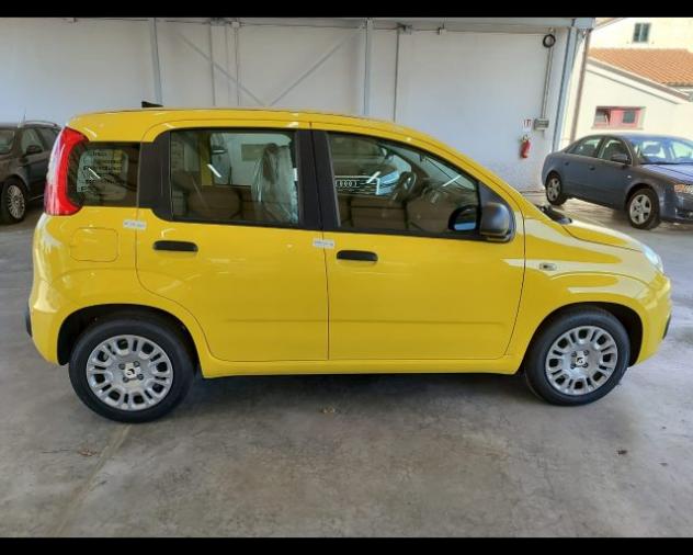 FIAT Pandina 1.0 FireFly 65 CV Hybrid Icon rif. 24121662 - Foto 5