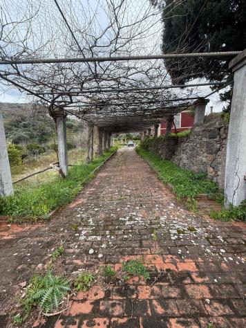 VILLA di 18 vani e di 1200 mq (MESSINA) rif. 2vs17580 - Foto 13