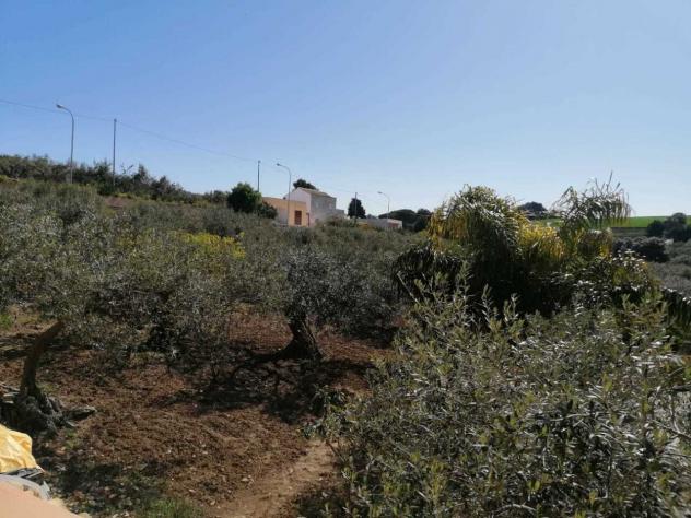 Singola in vendita a Paceco - Foto 16