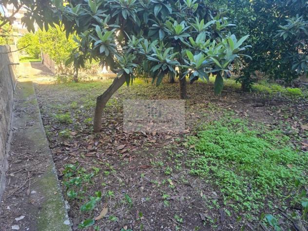 VENDESI VILLETTA O TERRENO EDIFICABILE - Foto 3