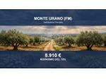 Immobile in asta di 6975 m² in vendita a Monte Urano