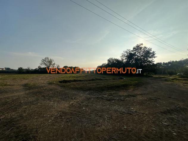 TERRENO AGRICOLO 4.400MQ - Foto 5
