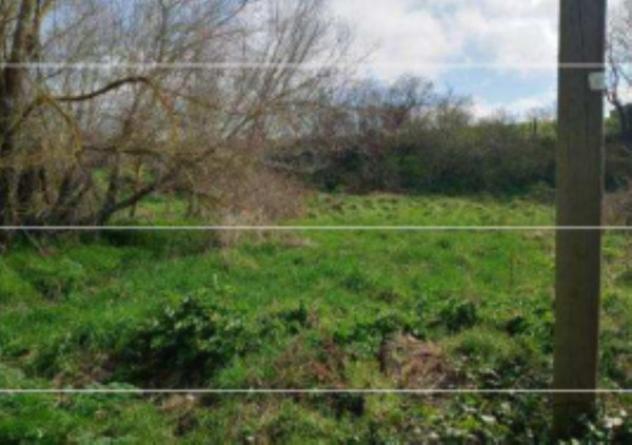 Immobile in asta di 25 m² in vendita a Sorano - Foto 8