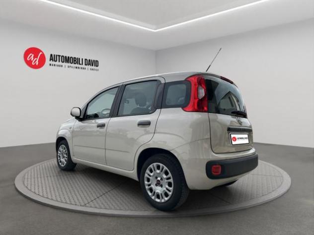 FIAT Panda 1.2 Easy rif. 23420469 - Foto 3