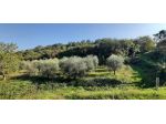 Terreno Agricolo - Puegnago del Garda . Rif.: 002 TA PUEGNAGO