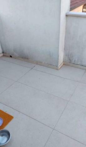 Immobile in asta di 227 m² con più di 5 locali e box auto in vendita a Padova - Foto 10