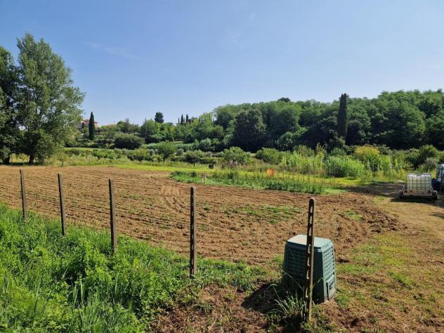 Terreno agricolo in vendita a Perignano - Casciana Terme Lari 3000 mq Rif: 1279542 - Foto 3