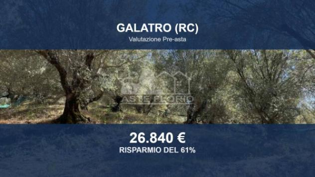 Immobile in asta di 27621 m² in vendita a Galatro