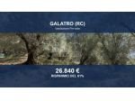Immobile in asta di 27621 m² in vendita a Galatro