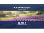 Immobile in asta di 64816 m² in vendita a Montecopiolo