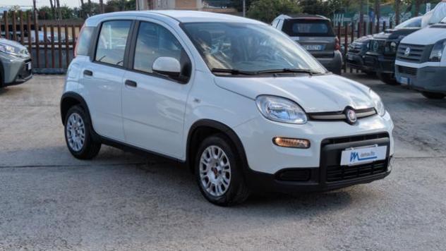 FIAT Panda 1.0Hybrid Firefly 70cv rif. 24182298 - Foto 2