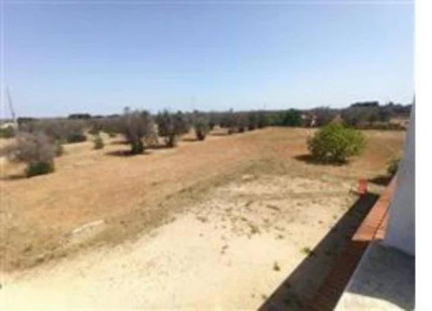 Immobile in asta di 4585 m² con più di 5 locali in vendita a Carovigno - Foto 5