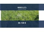 Immobile in asta di 238772 m² in vendita a Mineo
