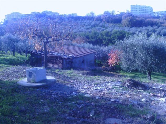 Vendita Terreno edificabile da 950 mq in Via Alessandro III con giardino - Foto 8