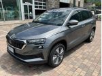 SKODA Karoq 2.0 TDI SCR 4x4 DSG Executive rif. 23771978