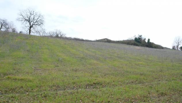 Rustico in vendita a Lugnano in Teverina - Foto 13