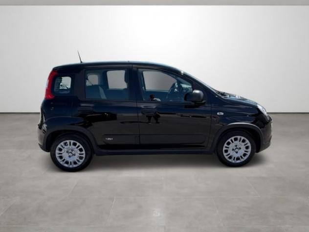 FIAT Panda 1.0 FireFly S&S Hybrid rif. 23891750 - Foto 8
