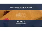 Immobile in asta di 127 m² in vendita a San Paolo di Civitate