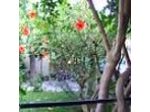 Villino Lucia B&B