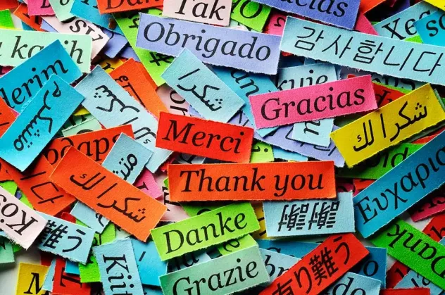 Francese, Inglese, Russo, Spagnolo, Aiuto compiti