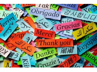Francese, Inglese, Russo, Spagnolo, Aiuto compiti