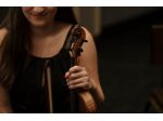 Violinista professionista