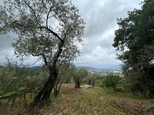 Agricolo in vendita a Arcola - Foto 14