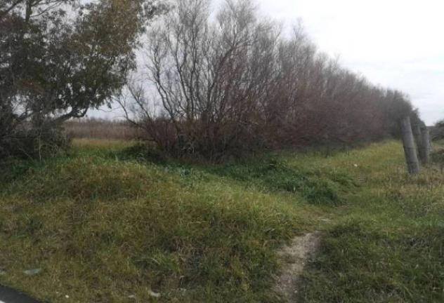 Immobile in asta di 89313 m² in vendita a Fiumicino - Foto 3