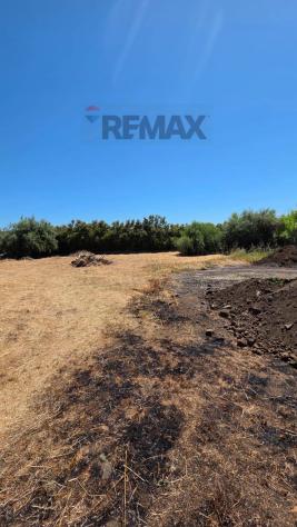 Terreno in vendita a Giarre - Foto 5