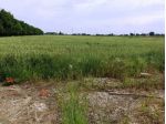 Soliera vendesi terreno agricolo 11340 Mq