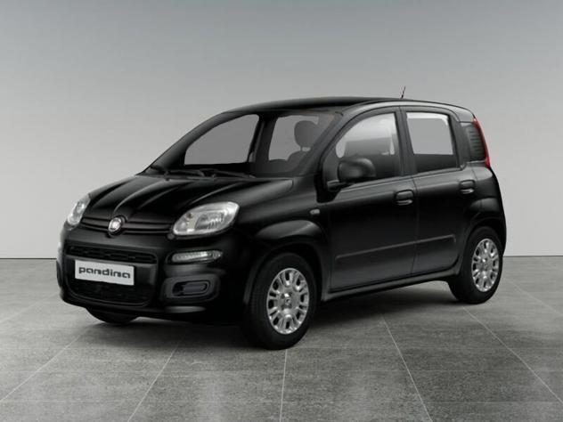 FIAT Pandina Pandina 1.0 firefly hybrid Icon s&s 65cv 5p.ti