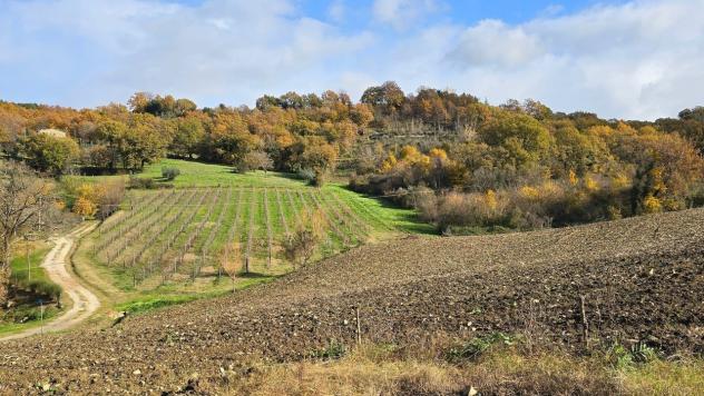 Azienda Agricola in vendita a Baschi - Foto 16