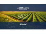Immobile in asta di 4404 m² in vendita a Ancona