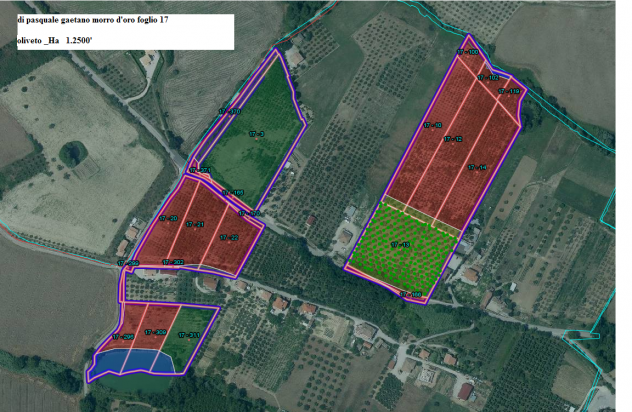 terreno agricolo